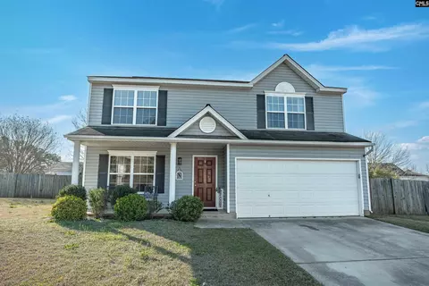 308 Turkey Beard Ct, Chapin, SC 29036