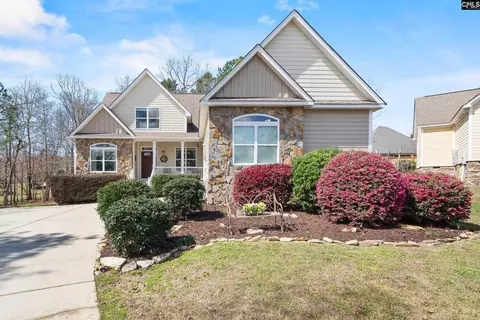 157 Blue Wing Dr, Gilbert, SC 29054 photo 1