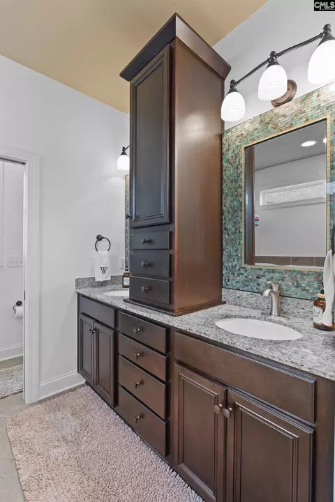 Bath - 157 Blue Wing Dr, Gilbert, SC 29054 photo 3 of 8
