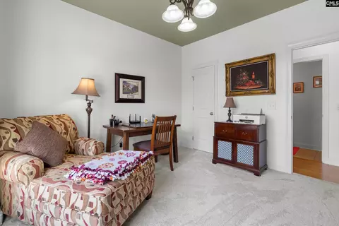 Other - 157 Blue Wing Dr, Gilbert, SC 29054 photo 9 of 15