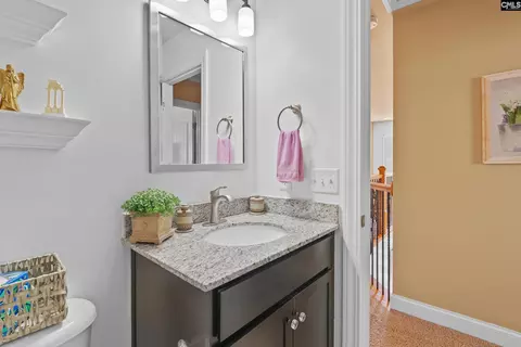 Bath - 157 Blue Wing Dr, Gilbert, SC 29054 photo 7 of 8