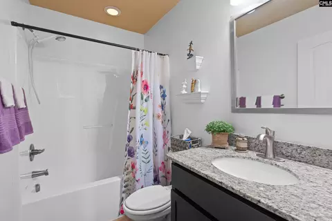 Bath - 157 Blue Wing Dr, Gilbert, SC 29054 photo 8 of 8
