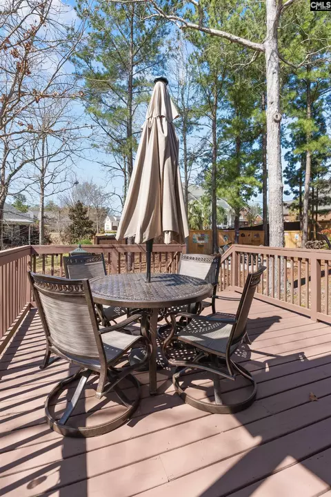 157 Blue Wing Dr, Gilbert, SC 29054 photo 51