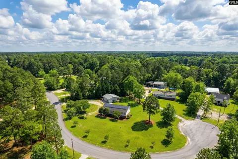 233 Drawdebil Ct, Gilbert, SC 29054