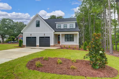 Exterior - 701 Peninsula Dr, Prosperity, SC 29127 photo 15 of 16