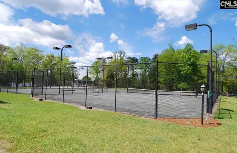 Other - 111 Buccaneer Pl, Leesville, SC 29070 photo 22 of 22