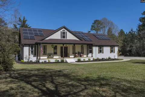 141 Eagle Chase Ct, Chapin, SC 29036 photo 1