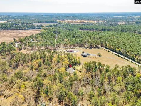 View/Area - 239 Blackthorn Dr, Gilbert, SC 29054 photo 3 of 3
