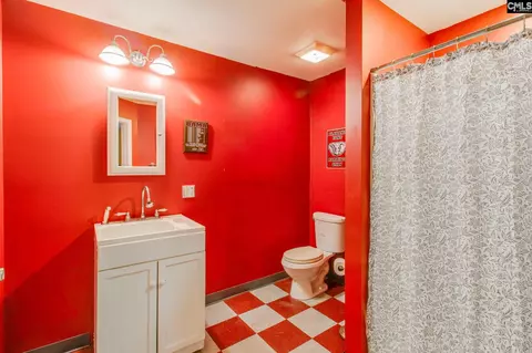 Bath - 239 Blackthorn Dr, Gilbert, SC 29054 photo 4 of 5