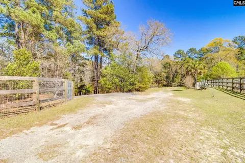 Exterior - 239 Blackthorn Dr, Gilbert, SC 29054 photo 10 of 11