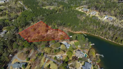 1007 Old Forge Ct, Chapin, SC 29036 photo 1
