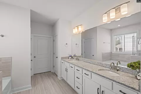 Bath - 558 Wild Ginger Loop, Irmo, SC 29063 photo 1 of 5
