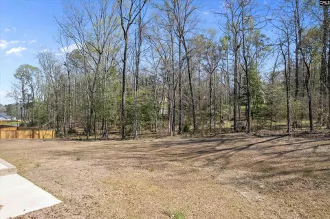Exterior - 558 Wild Ginger Loop, Irmo, SC 29063 photo 4 of 4