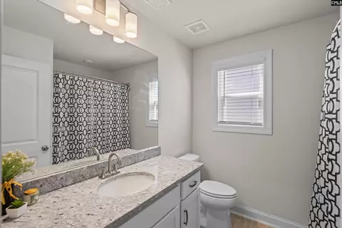Bath - 558 Wild Ginger Loop, Irmo, SC 29063 photo 5 of 5