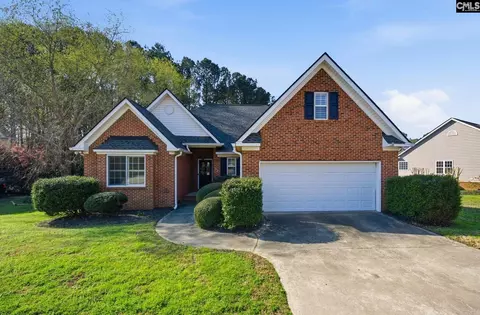 112 Rum Gully Ln, Chapin, SC 29036