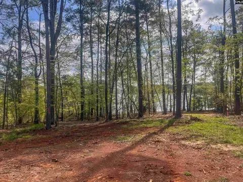 View/Area - 193 Lands End Dr, Prosperity, SC 29127 photo 10 of 13
