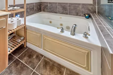 Bath - 117 Peninsula Ct, Prosperity, SC 29127 photo 3 of 4