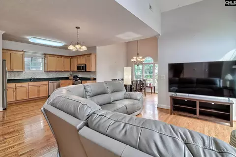 Other - 117 Peninsula Ct, Prosperity, SC 29127 photo 11 of 15
