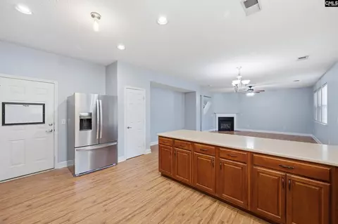 Other - 247 Winterberry Loop, Lexington, SC 29072 photo 3 of 11