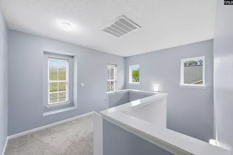 Entry Way - 247 Winterberry Loop, Lexington, SC 29072 photo 5 of 6