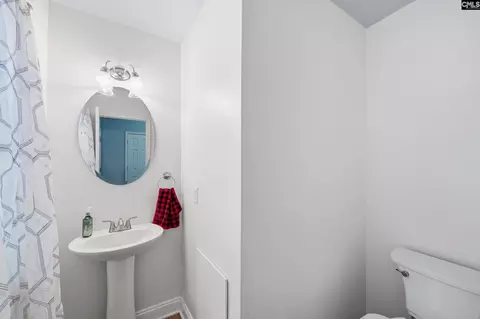 Other - 247 Winterberry Loop, Lexington, SC 29072 photo 4 of 11