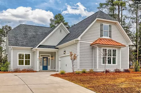 816 Elms Spinney Ln, Chapin, SC 29036