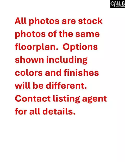 613 Falling Leaf Ln, Chapin, SC 29036 photo 4