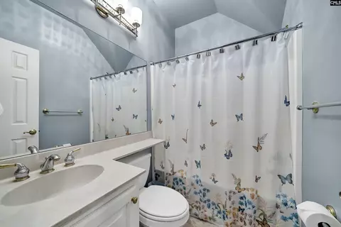 Bath - 804 Old Forge Rd, Chapin, SC 29036 photo 7 of 8