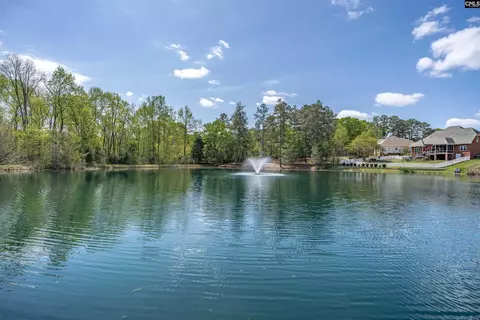 116 Cottingham Ct, Lexington, SC 29072 photo 61