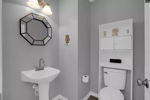 116 Cottingham Ct, Lexington, SC 29072 photo 31