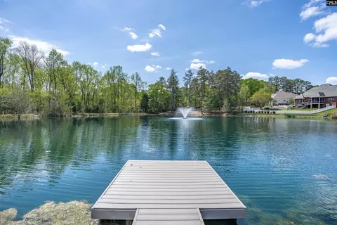 116 Cottingham Ct, Lexington, SC 29072 photo 60