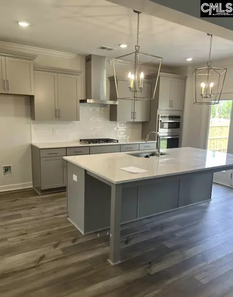 Kitchen - 617 Falling Leaf Ln, Chapin, SC 29036 photo 1 of 1