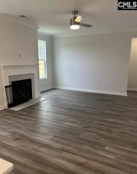 Living - 617 Falling Leaf Ln, Chapin, SC 29036 photo 1 of 1