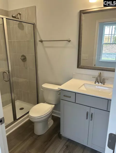 Bath - 617 Falling Leaf Ln, Chapin, SC 29036 photo 1 of 2