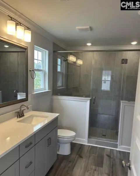 Bath - 617 Falling Leaf Ln, Chapin, SC 29036 photo 2 of 2