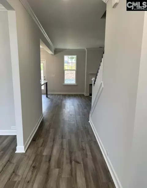 Entry Way - 617 Falling Leaf Ln, Chapin, SC 29036 photo 1 of 2