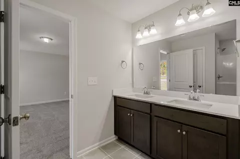 Entry Way - 430 Viceroy Path, Gilbert, SC 29054 photo 6 of 6