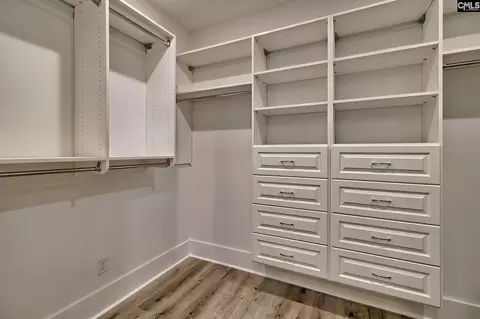 Other - 246 Backspin Dr, Elgin, SC 29045 photo 8 of 14