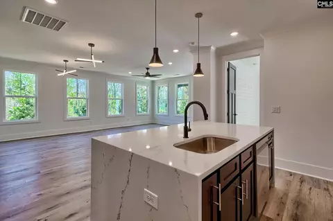 Other - 246 Backspin Dr, Elgin, SC 29045 photo 1 of 14