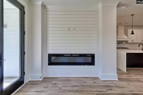 Other - 246 Backspin Dr, Elgin, SC 29045 photo 5 of 14