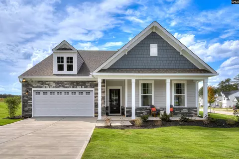 617 Basalt Ct, Chapin, SC 29036