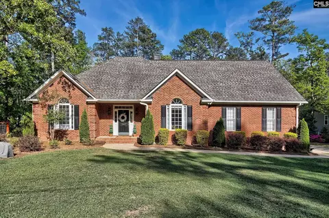 1207 Silver Point Rd, Chapin, SC 29036