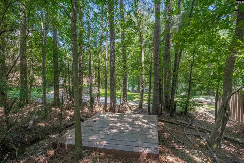 Exterior - 1338 Camping Rd, Gilbert, SC 29054 photo 5 of 7