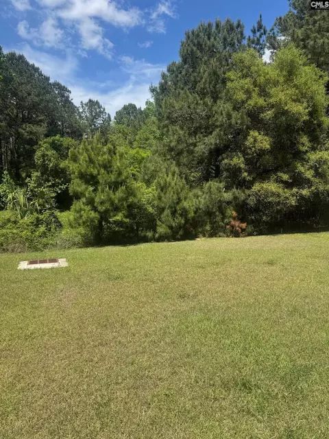 Exterior - 724 Sinker Ln, Santee, SC 29142 photo 2 of 9