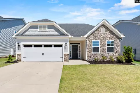 713 Chatham Ct, Chapin, SC 29036