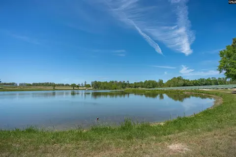 225 Burma Rd, Lexington, SC 29072