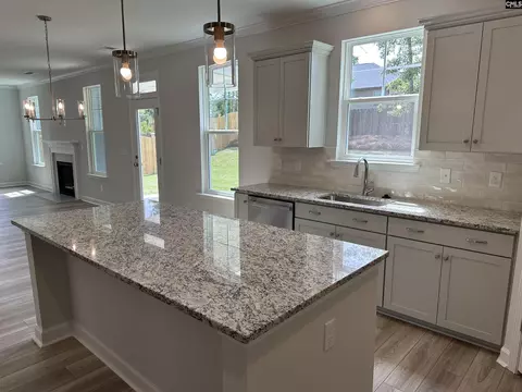 Kitchen - 621 Falling Leaf Ln, Chapin, SC 29036 photo 1 of 2