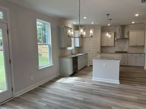 Other - 621 Falling Leaf Ln, Chapin, SC 29036 photo 3 of 8