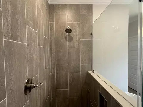 Bath - 621 Falling Leaf Ln, Chapin, SC 29036 photo 3 of 5