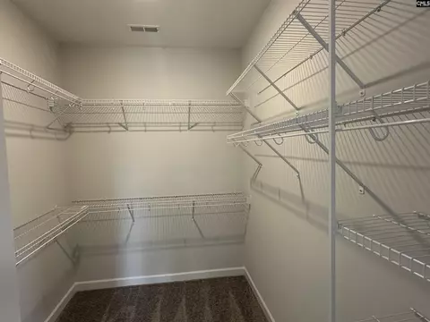 Other - 621 Falling Leaf Ln, Chapin, SC 29036 photo 5 of 8